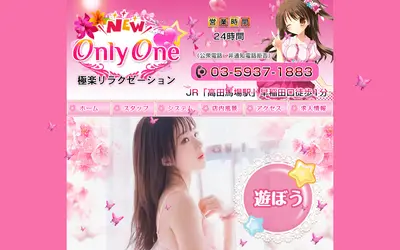 NEW ONLY ONE