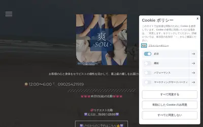 爽 sou